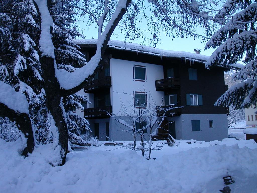 Appartamento Niki Campitello Кампителло-ди-Фасса Экстерьер фото